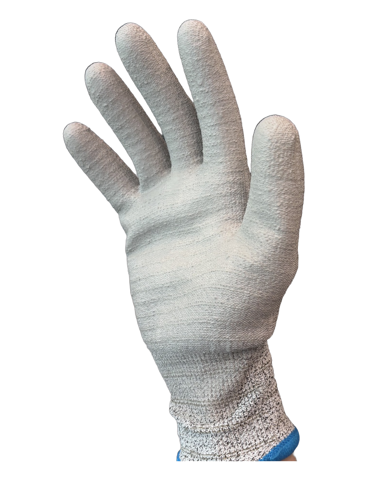 Cut Protection Glove — A-01