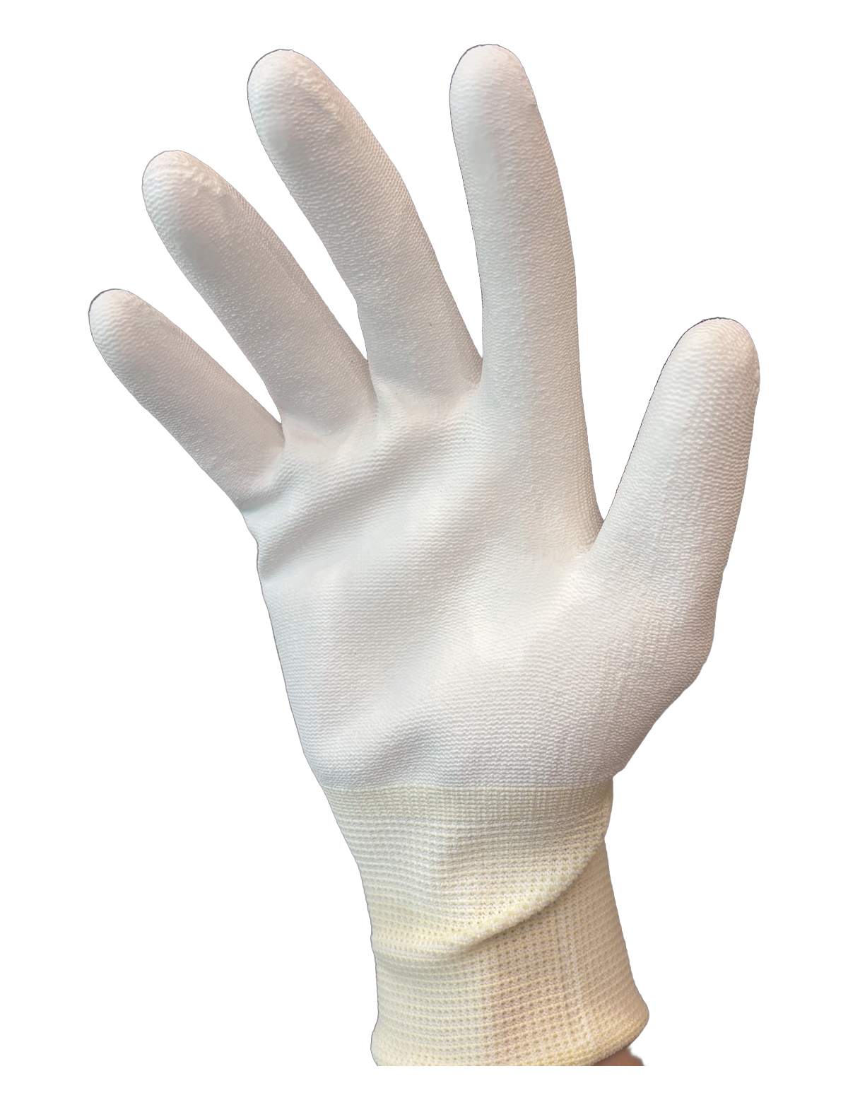 Lightweight Palm Coated Glove — B-01