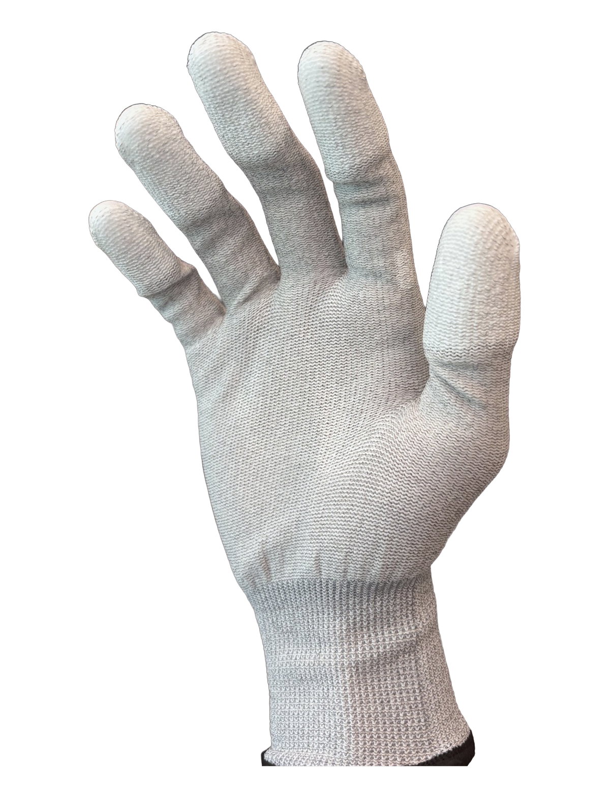 Anti-Static Gloves NC Series — C-01